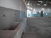 005-sett2010.jpg